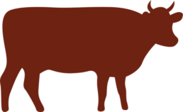 Order BBQ online beef